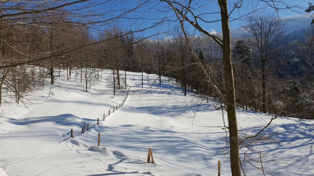 20190130_103532.jpg