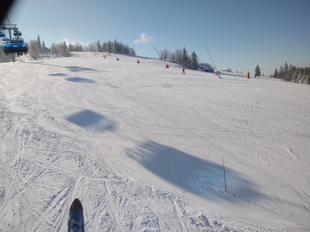 20190130_110101.thumb.jpg.c78899ee2cf3a3317c55604c6eec6c59.jpg