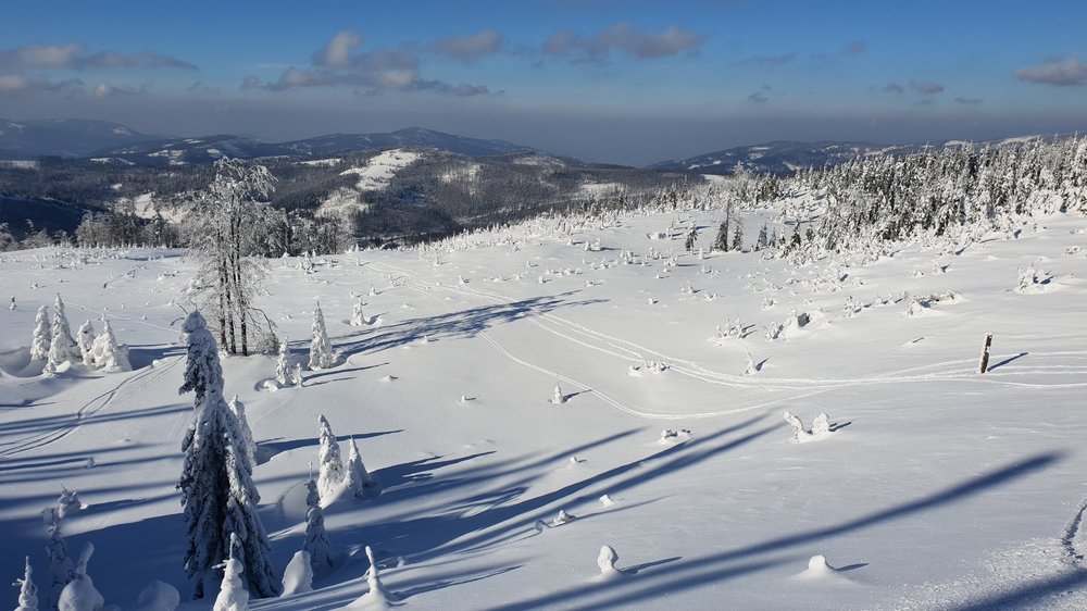 20190130_120534.jpg