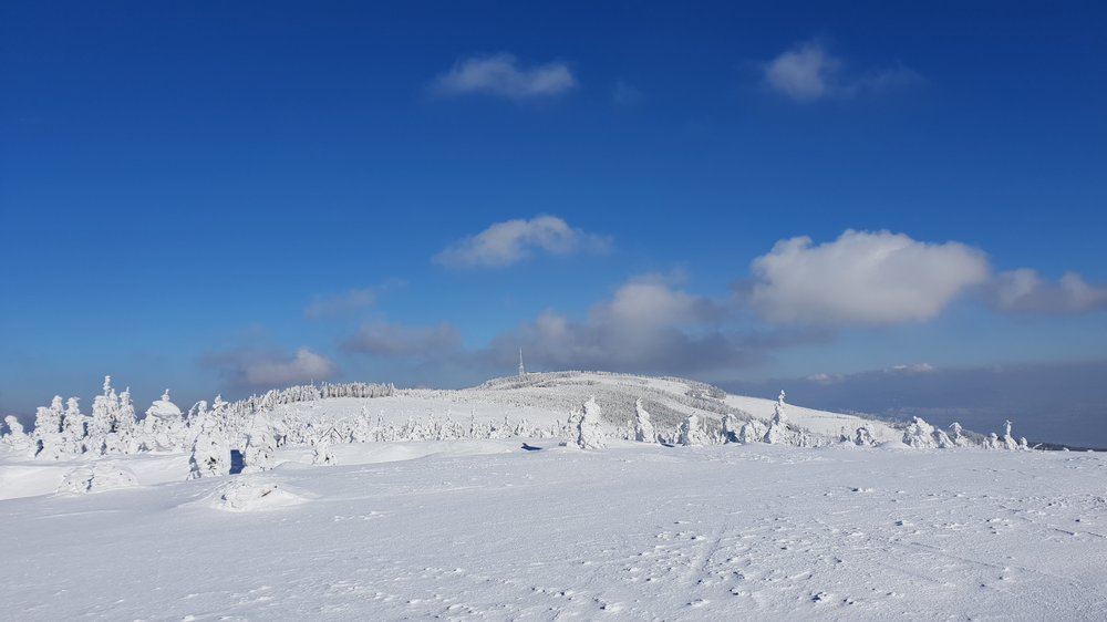 20190130_122838.jpg