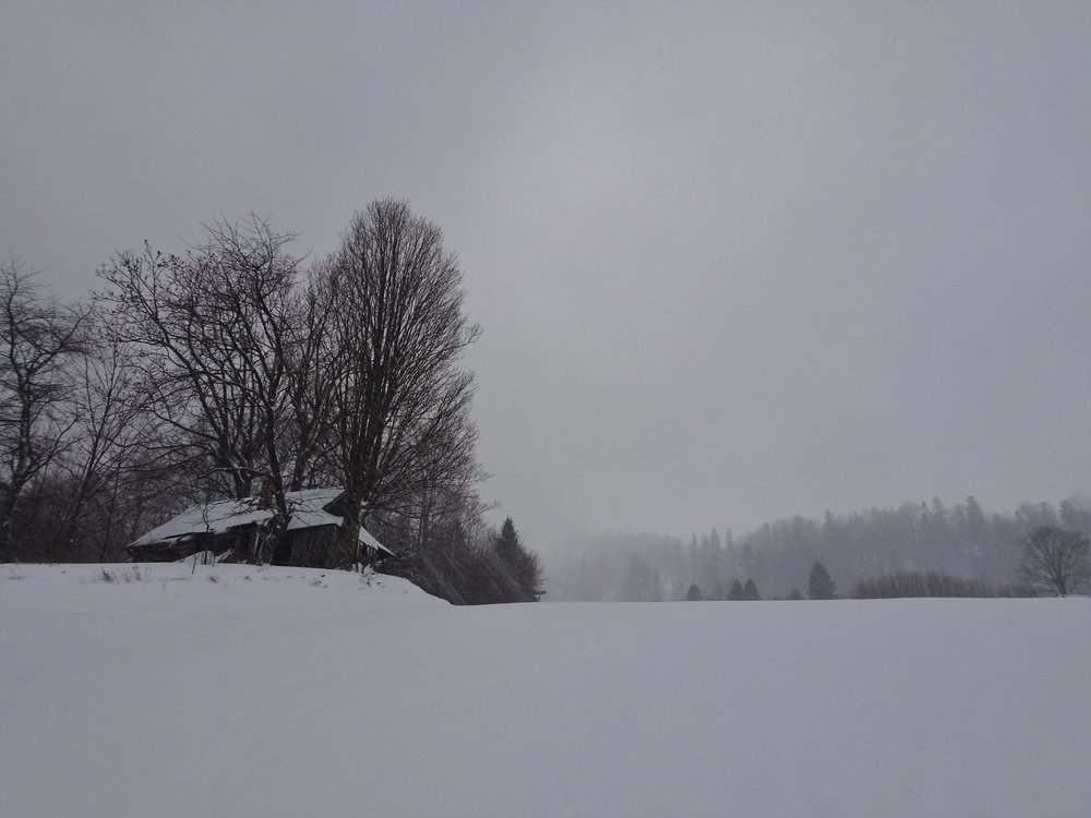 DSC00253.thumb.JPG.cb140c73259d35d3059c94fc24266a8d.JPG