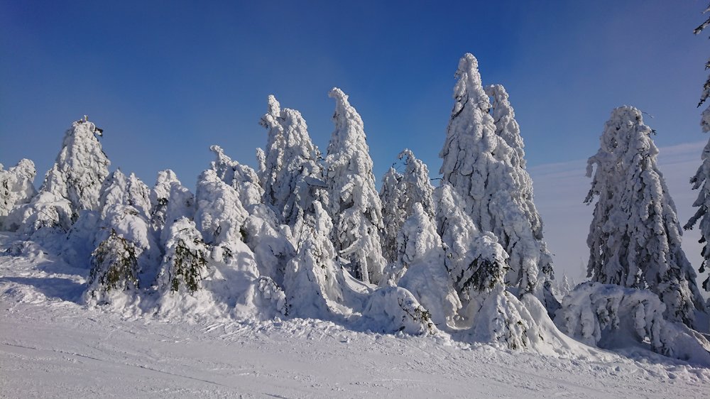 DSC_0435.JPG