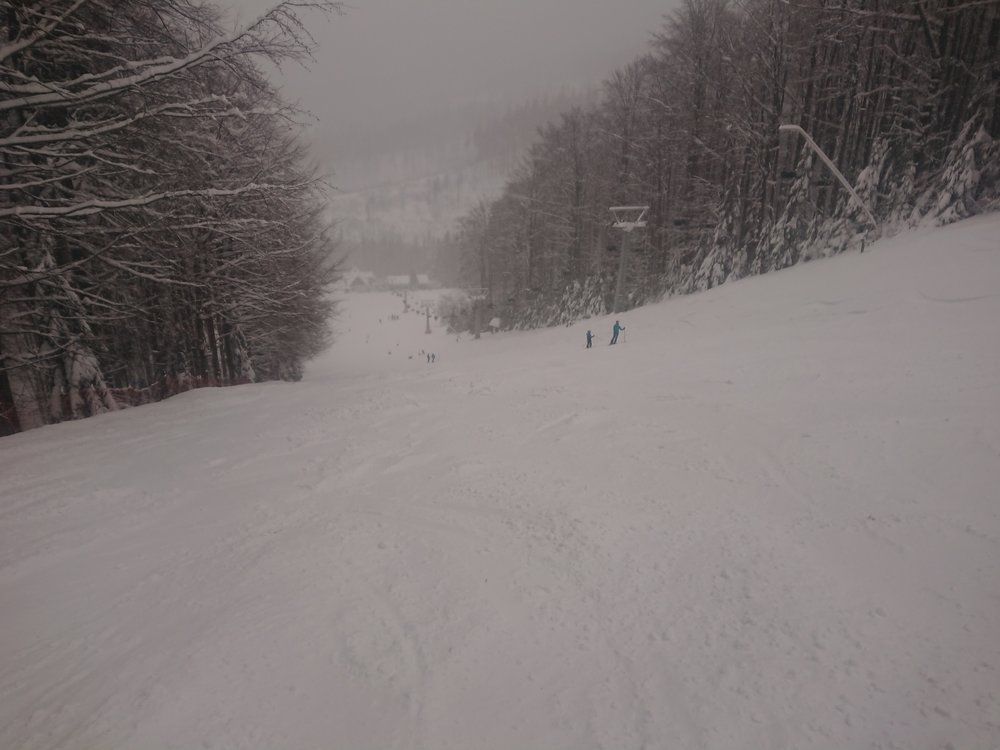 DSC_1459.JPG