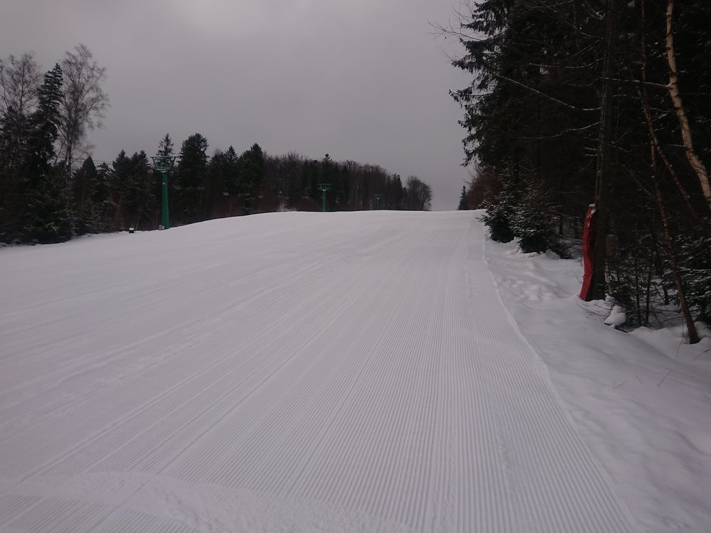 DSC_1499.JPG