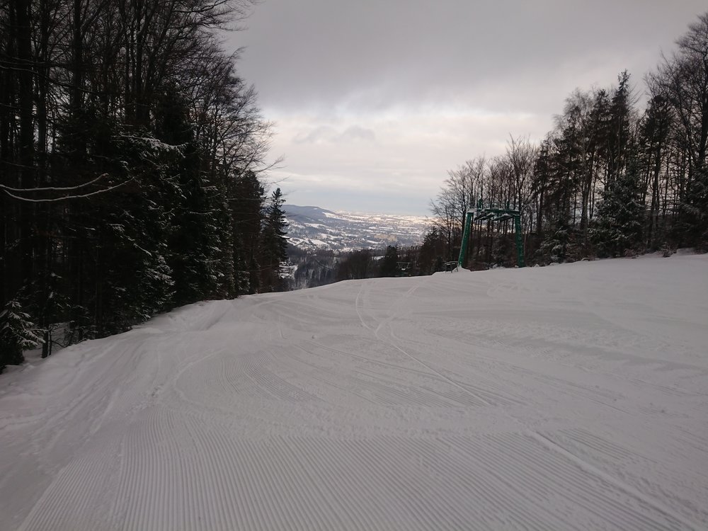 DSC_1504.JPG