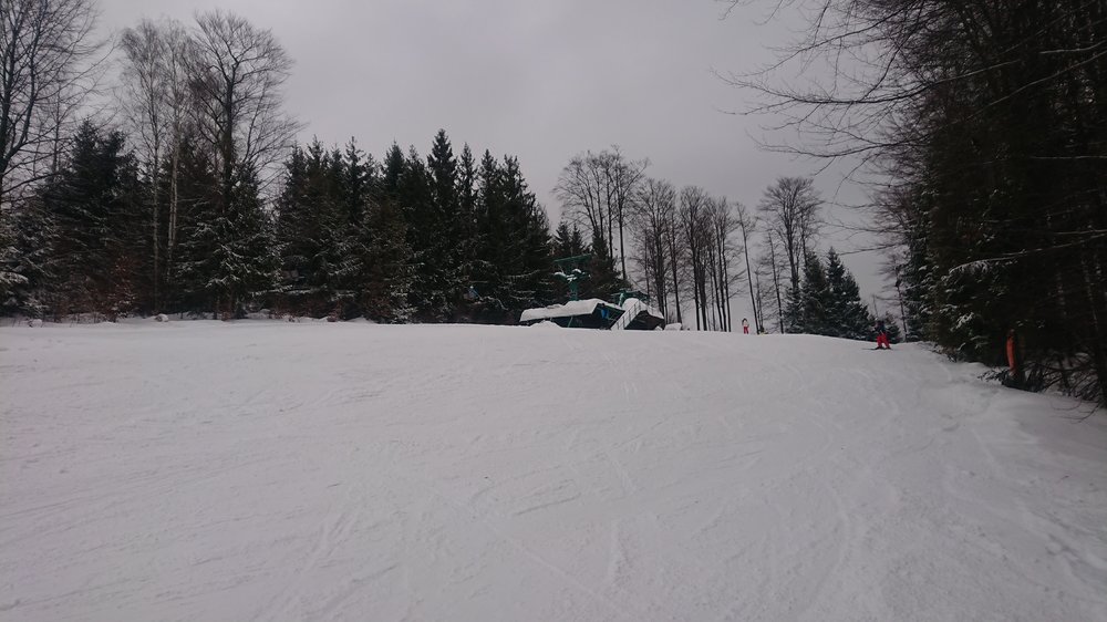 DSC_1516.JPG
