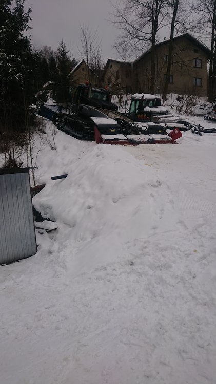 DSC_1523.JPG