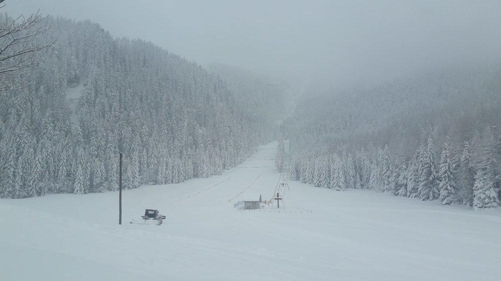 IMG-20190110-WA0010.jpg