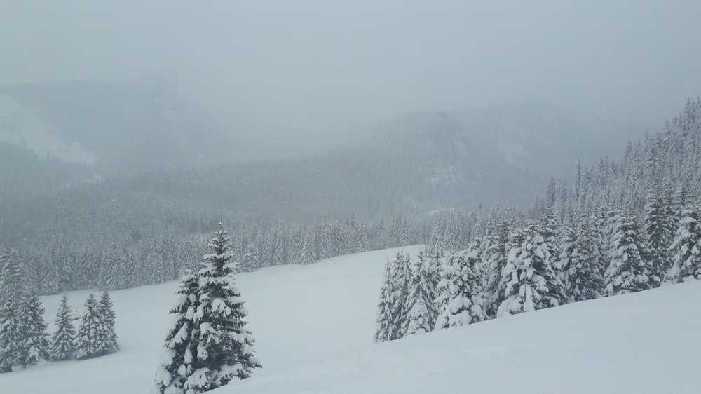 IMG-20190110-WA0011.jpg
