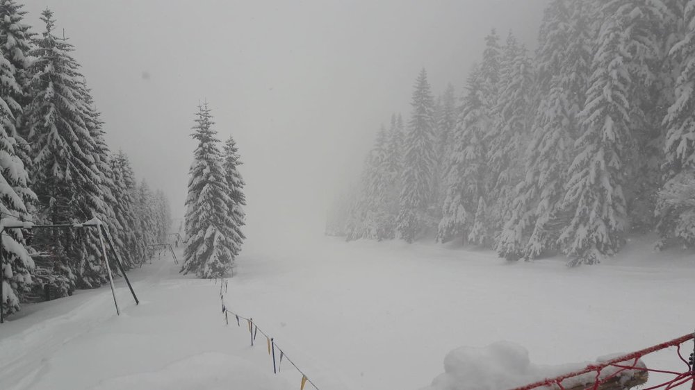 IMG-20190110-WA0014.jpg