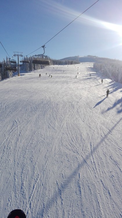 IMG-20190121-WA0002.jpeg