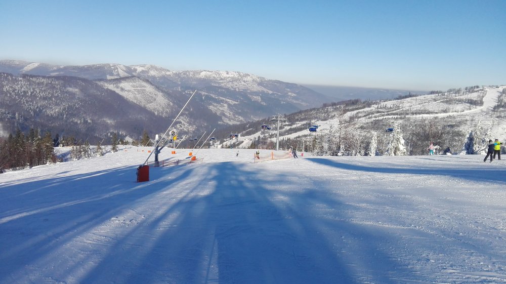 IMG-20190121-WA0012.jpeg