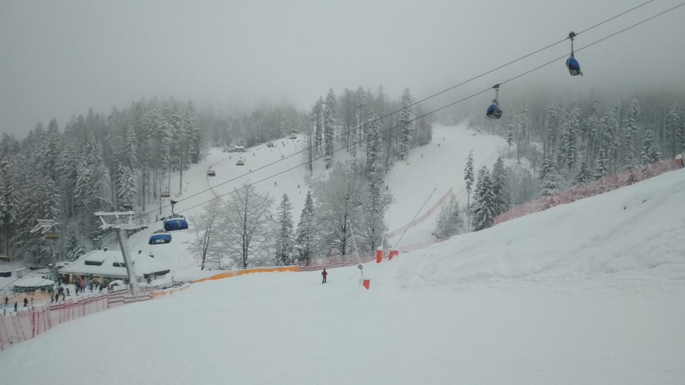 IMG_20190105_152648.jpg