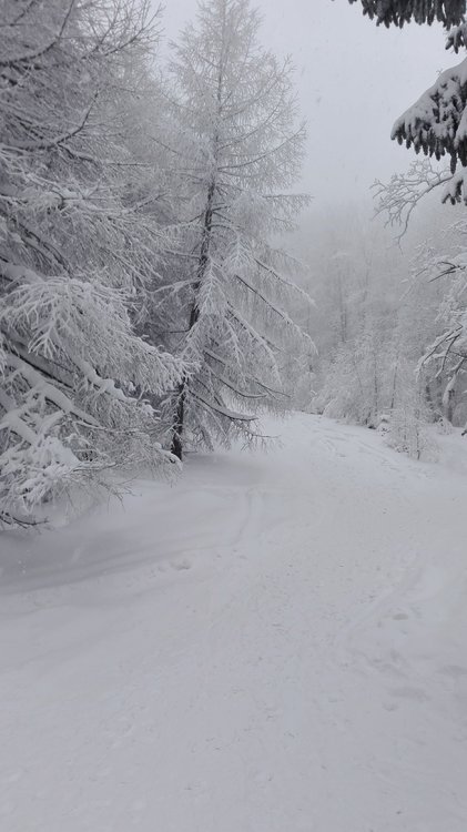 IMG_20190106_095814.jpg