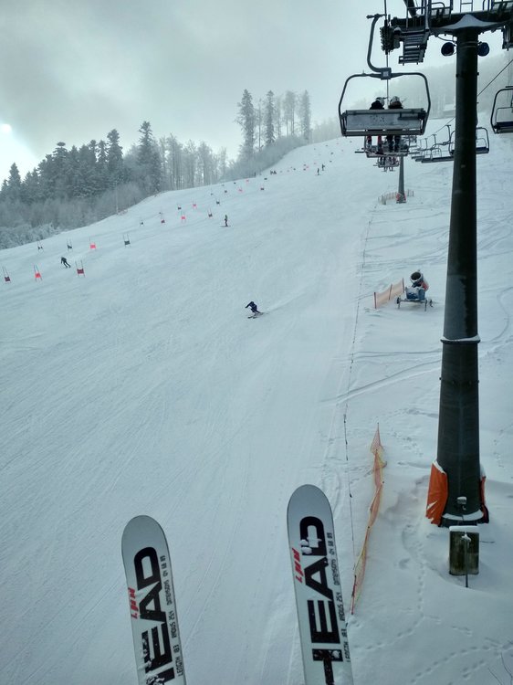 IMG_20190111_102507_HDR.thumb.jpg.59756eb23c390a2f24529d89d3f1c6c9.jpg