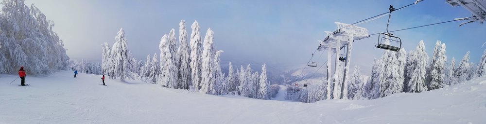 IMG_20190111_114452.jpg