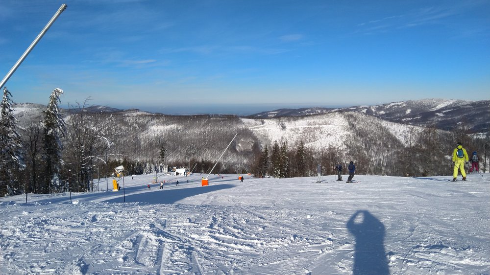 IMG_20190119_100204.jpg