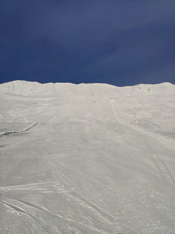 IMG_20190120_102925.jpg