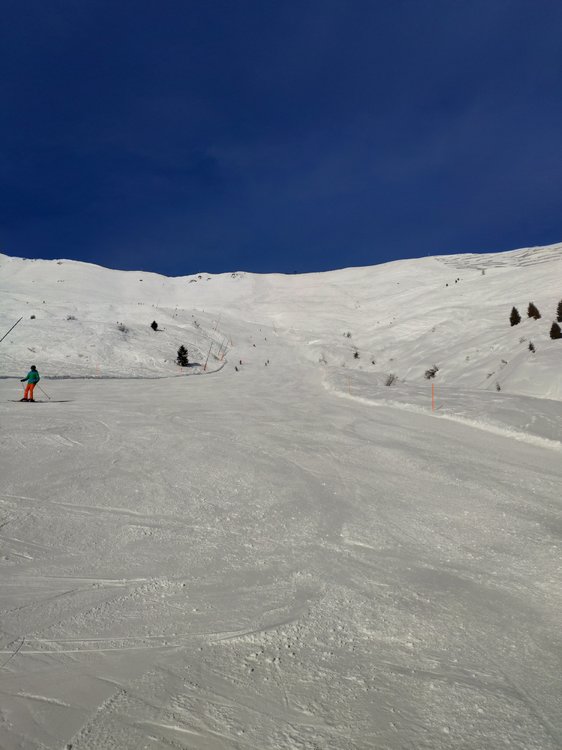 IMG_20190120_105234.jpg