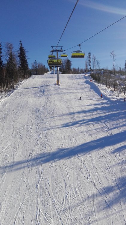 IMG_20190121_100209.jpg