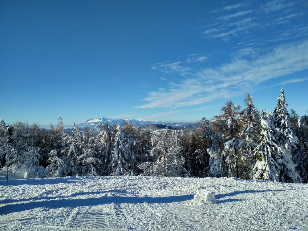 IMG_20190122_094854_HDR.thumb.jpg.5aa35c43b54e9de818815685dfdfc9cd.jpg