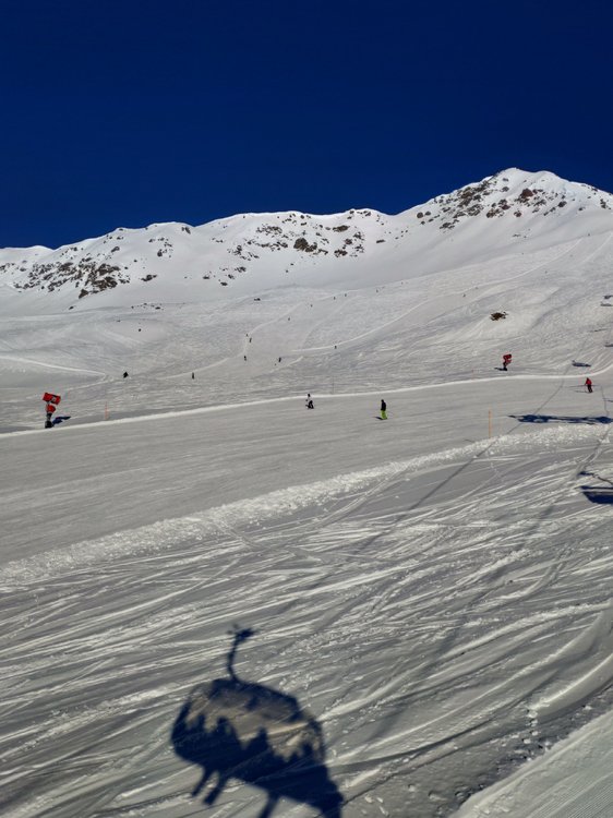 IMG_20190122_111412.jpg