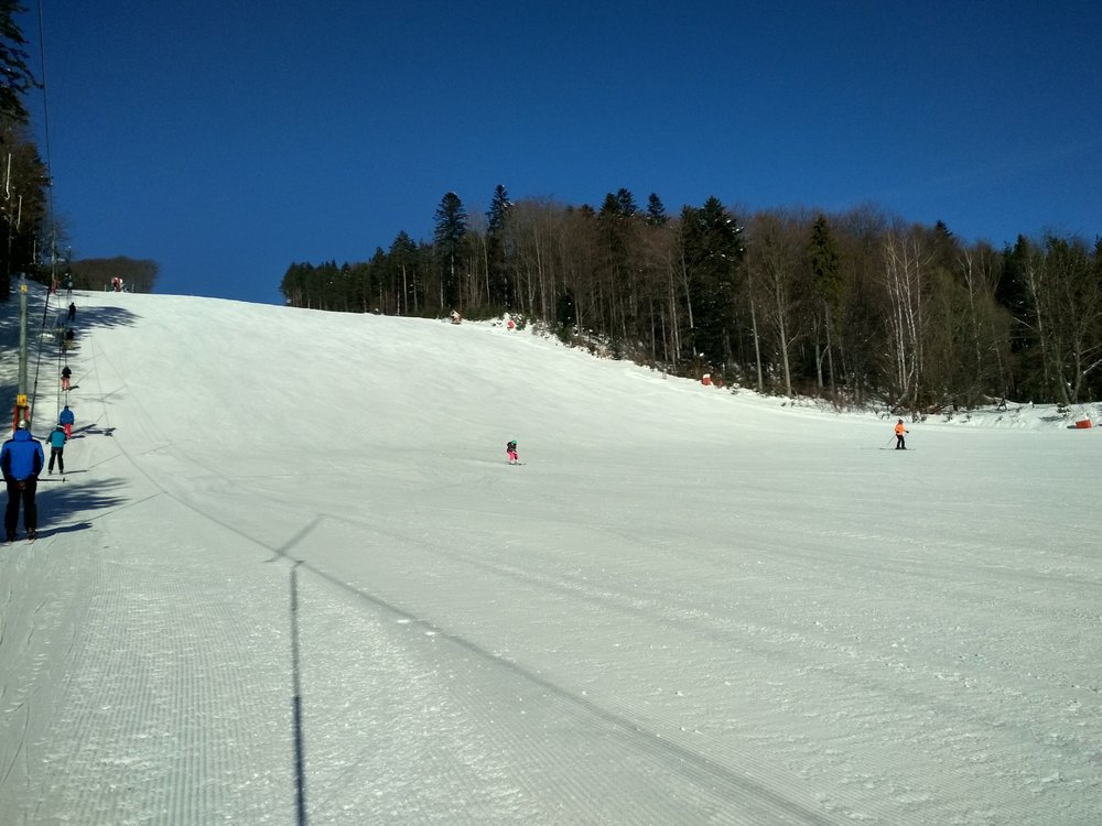 IMG_20190122_114851_HDR.thumb.jpg.73c1c44612eb138c59083e8d5ec80278.jpg