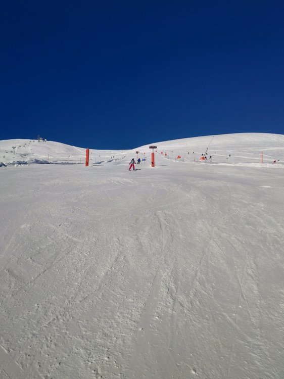 IMG_20190122_120143.jpg