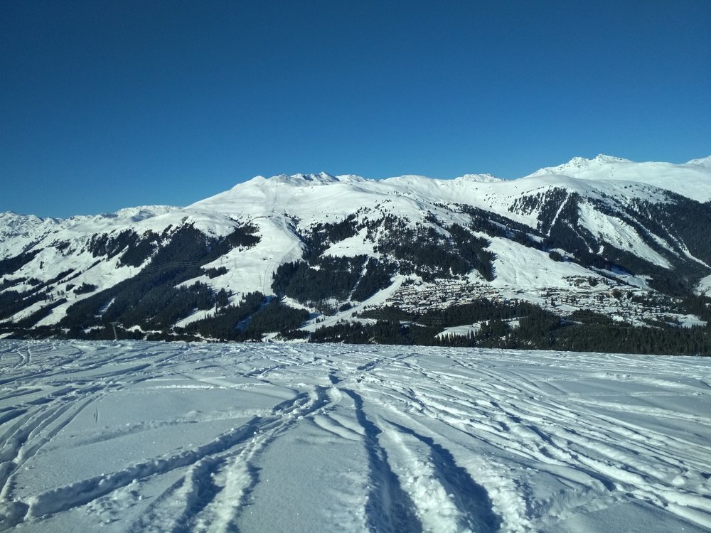 IMG_20190122_133904.thumb.jpg.8e82c4b316b8ec289094b2d69b9e384c.jpg