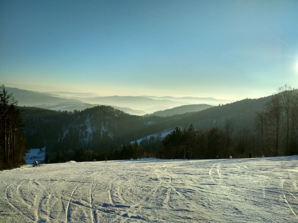 IMG_20190122_151155_HDR.thumb.jpg.aee52b309b3f279d7e48a2ec9b82f3c4.jpg