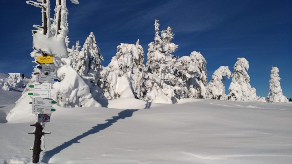 P_20190119_103049_vHDR_On.jpg