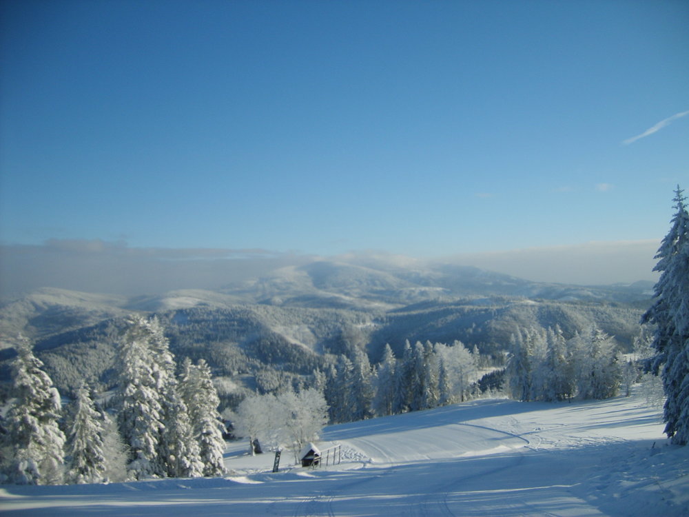 S5003483.JPG