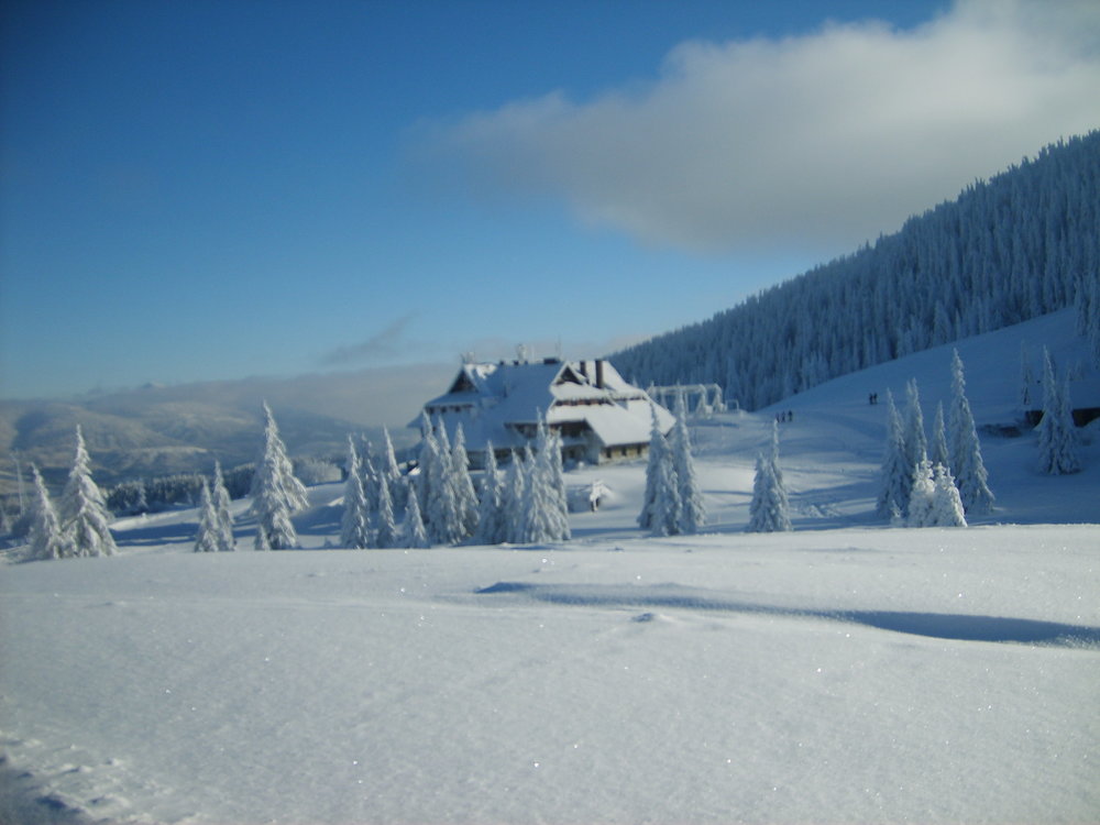 S5003486.JPG