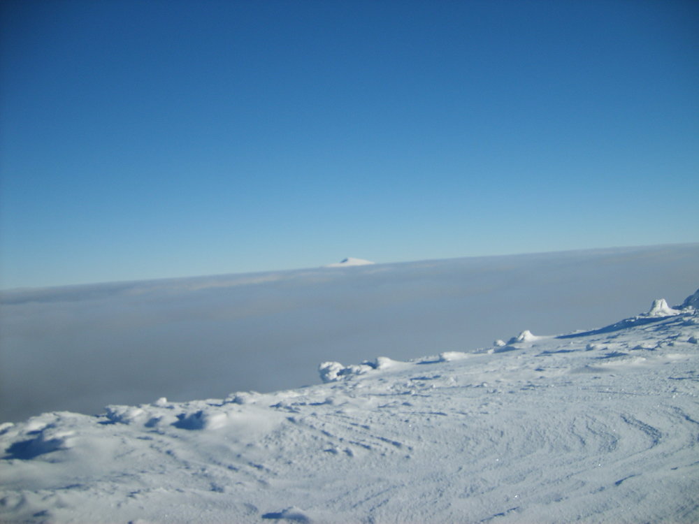 S5003490.JPG