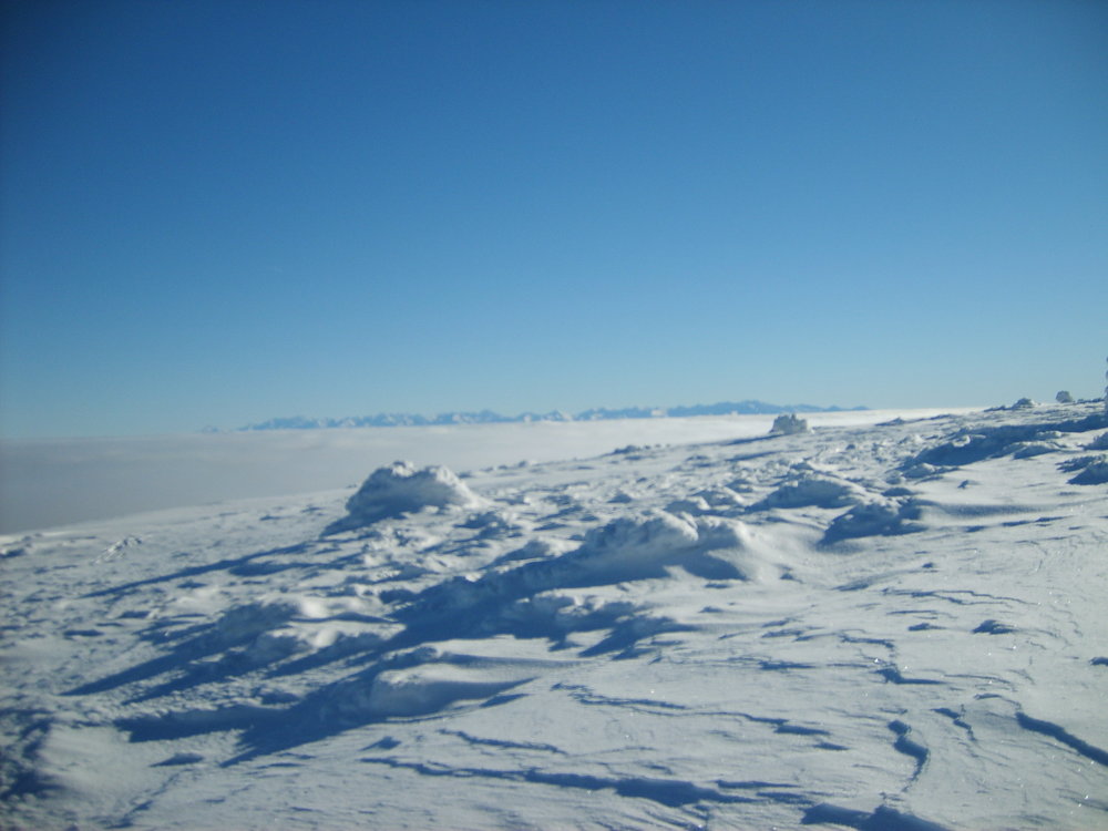 S5003491.JPG