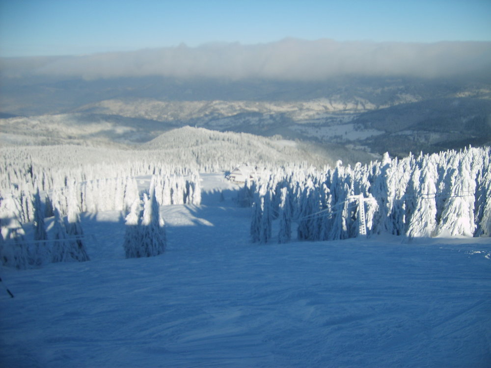 S5003494.JPG