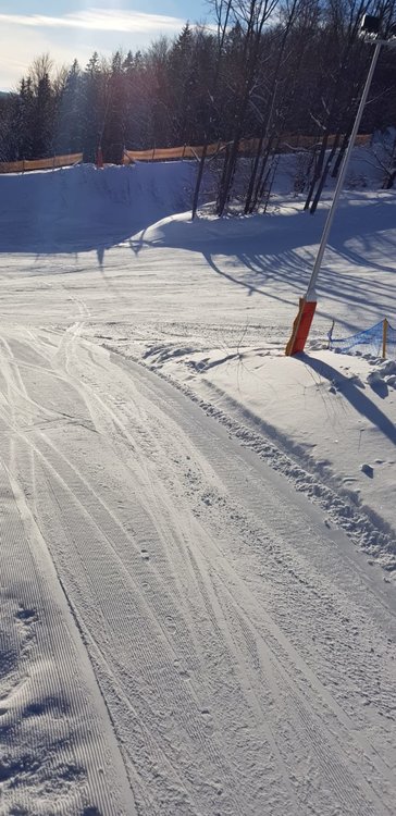 SAVE_20190119_115027.jpeg