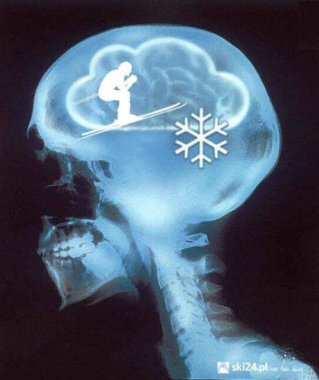 ski.thumb.jpg.8889ecd395db4d0d64754cf1d7e3b3d8.jpg
