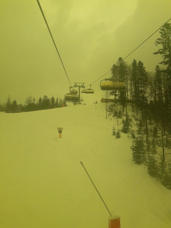 tmp-cam-184605794.jpg