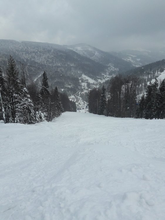 tmp-cam-1965926275.jpg