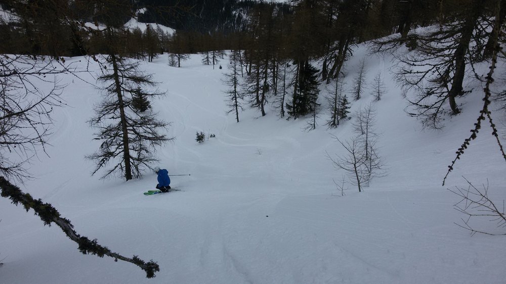20190121_151839.thumb.jpg.f0563ee0b855a105b3136451c7f12ac6.jpg