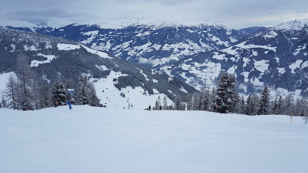 20190128_083129.jpg