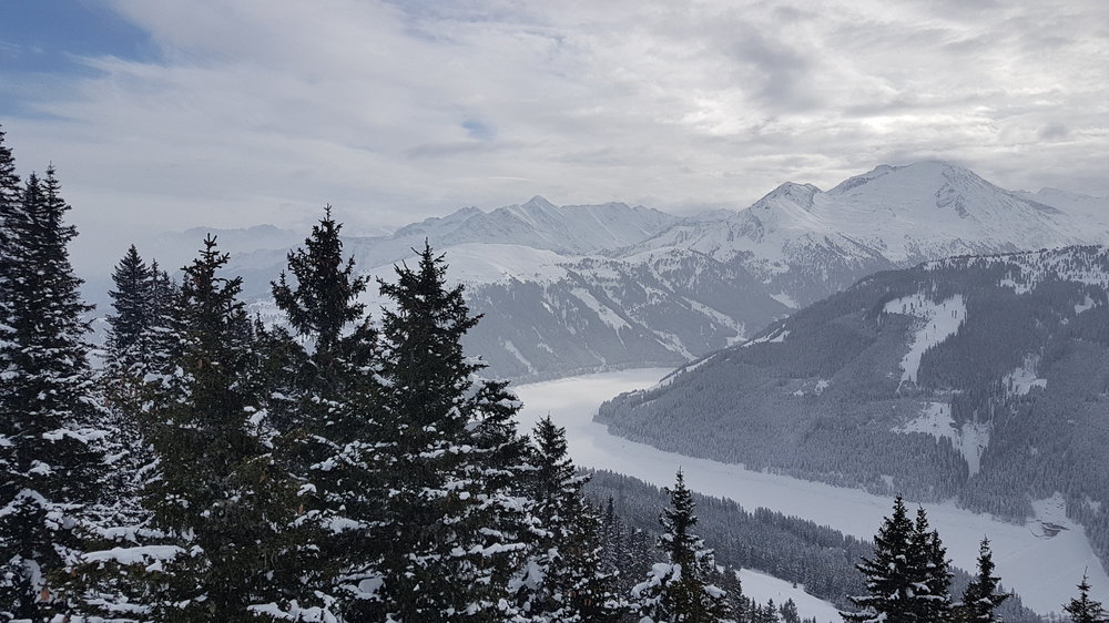 20190130_110006.jpg