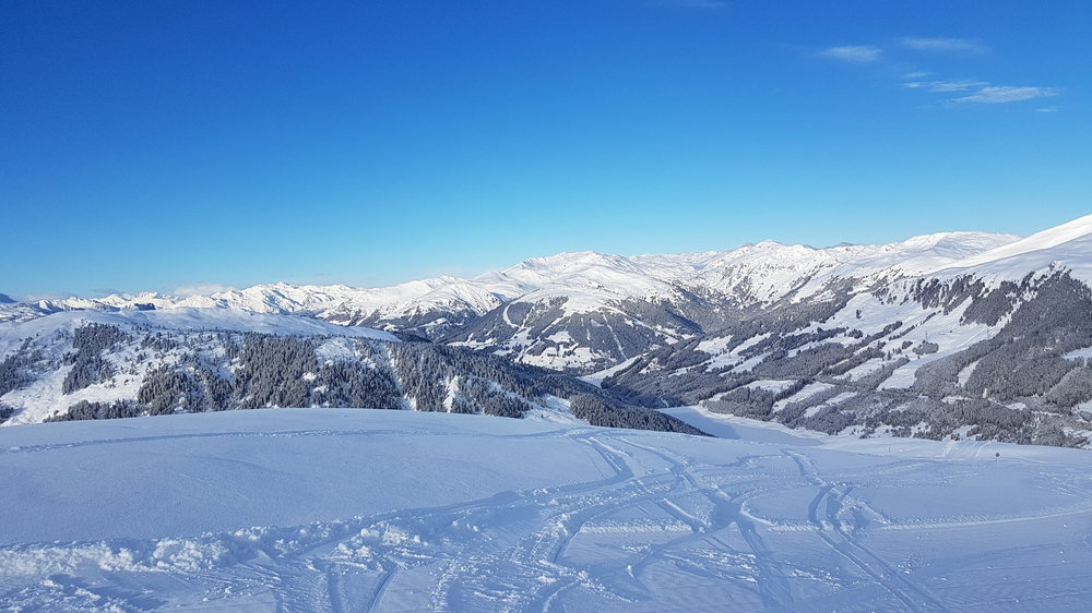 20190131_092428.jpg