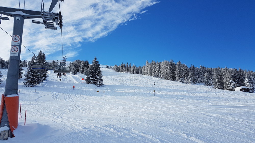 20190131_094022.jpg