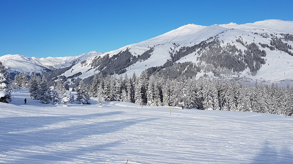 20190131_094042.jpg