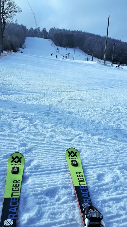 20190201_101036.jpg
