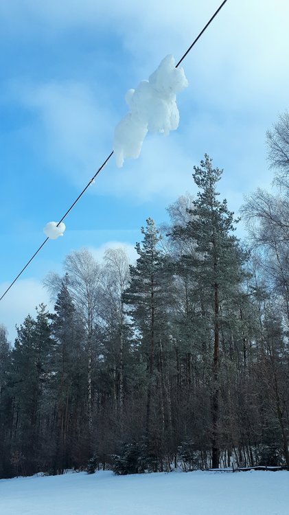 20190201_101738.jpg
