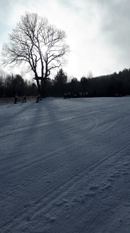 20190201_102844.jpg