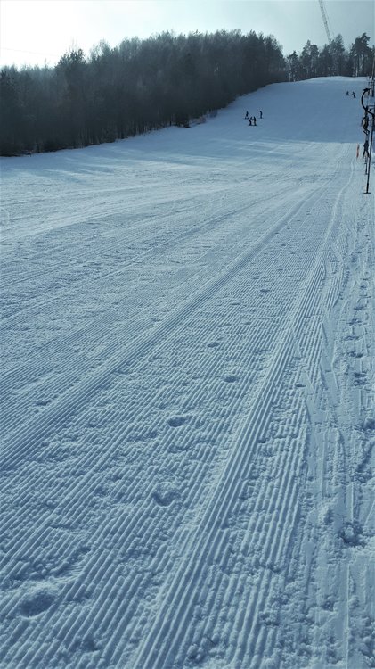 20190201_102907.jpg